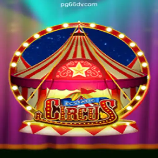 66DV.COM platform-Oficial Slots Brasil #1 Casino App