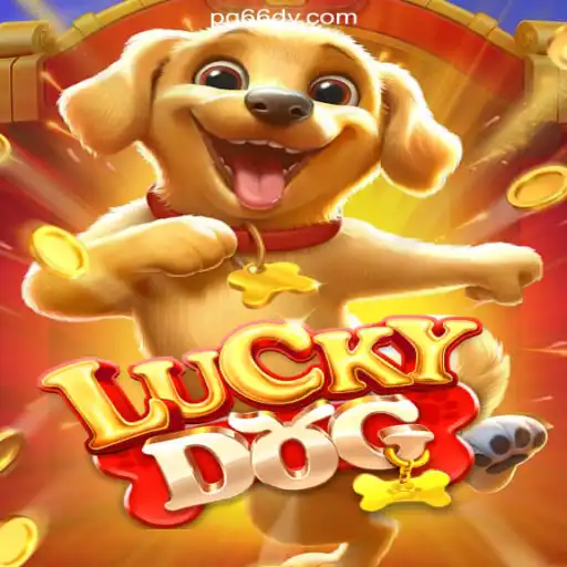 66DV.COM platform-Oficial Slots Brasil #1 Responsible Gambling